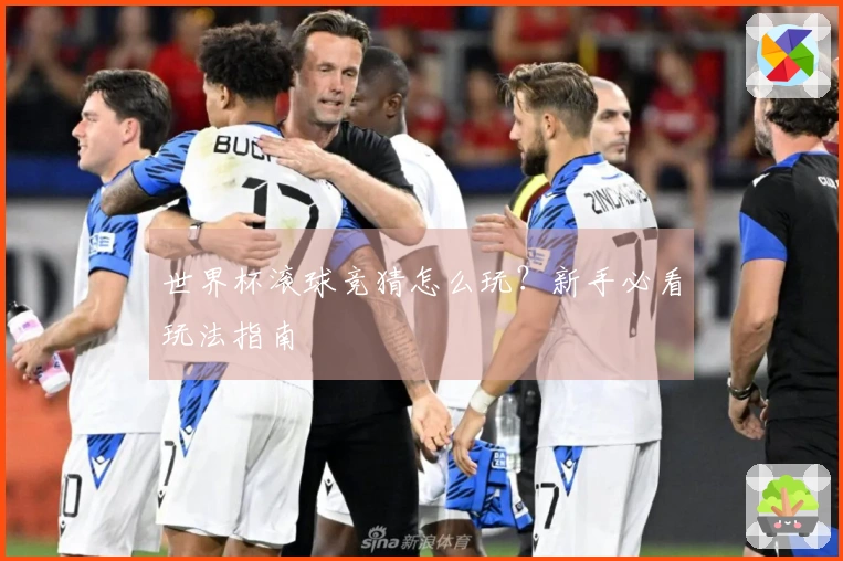 世界杯滚球竞猜怎么玩？新手必看玩法指南