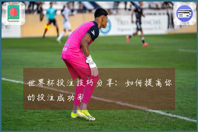 世界杯投注技巧分享：如何提高你的投注成功率