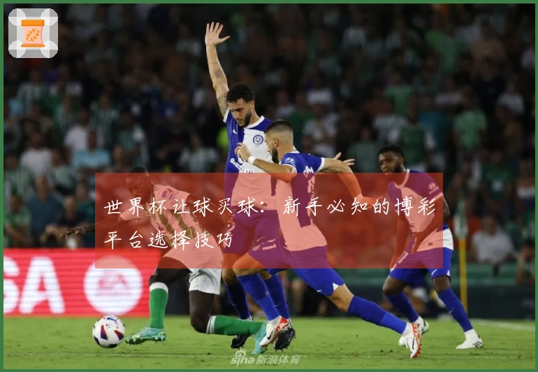 世界杯让球买球：新手必知的博彩平台选择技巧