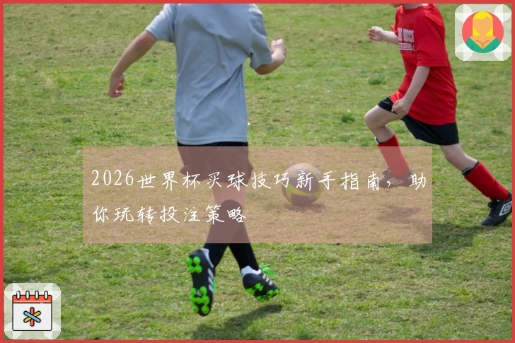 2026世界杯买球技巧新手指南，助你玩转投注策略