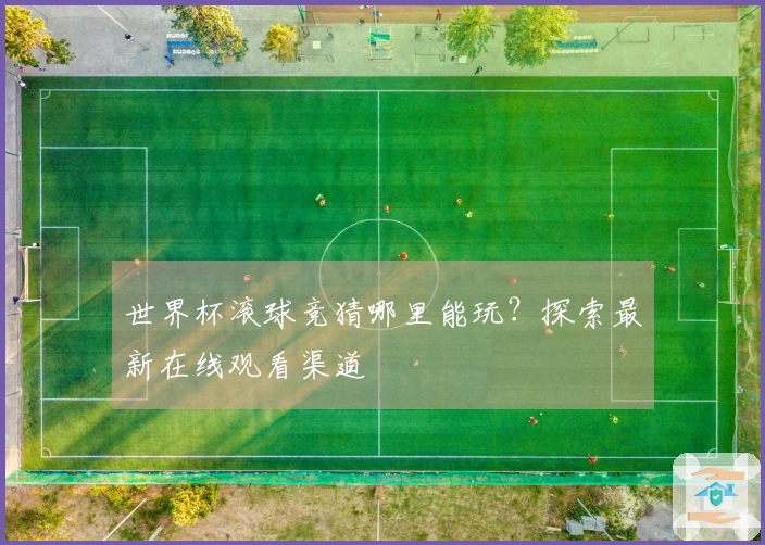 世界杯滚球竞猜哪里能玩？探索最新在线观看渠道