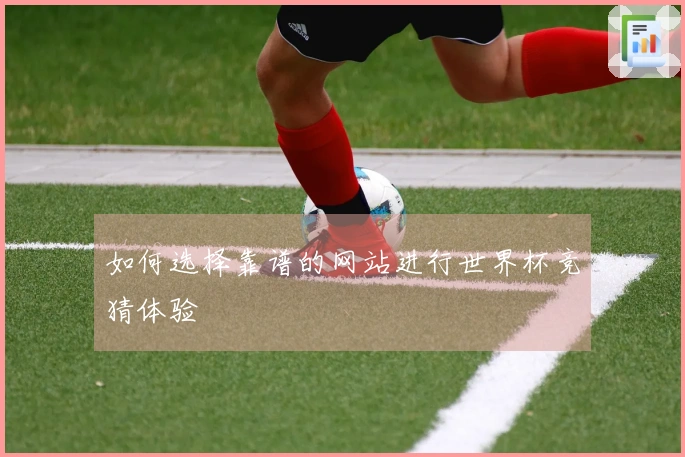如何选择靠谱的网站进行世界杯竞猜体验