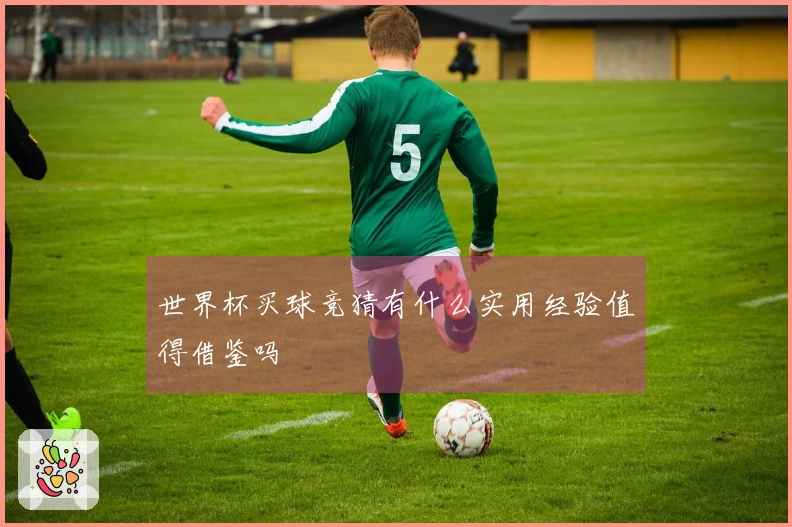 世界杯买球竞猜有什么实用经验值得借鉴吗