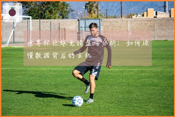 世界杯让球竞猜盘口分析：如何读懂数据背后的玄机