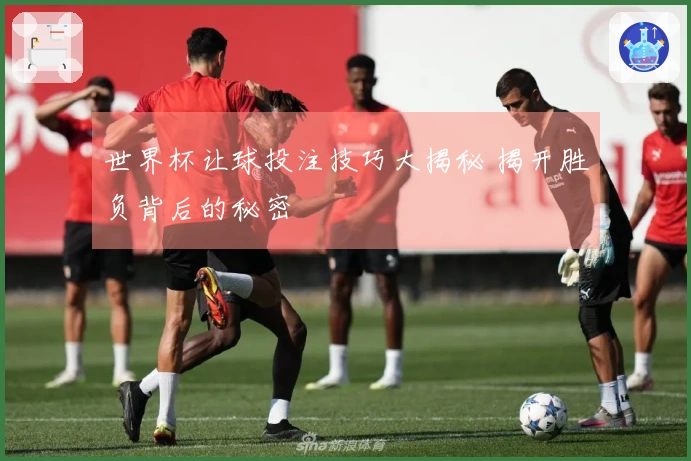 世界杯让球投注技巧大揭秘 揭开胜负背后的秘密