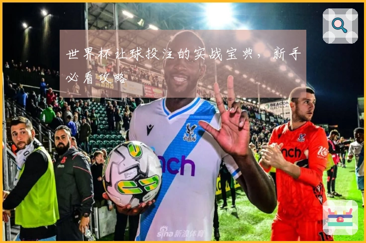 世界杯让球投注的实战宝典，新手必看攻略