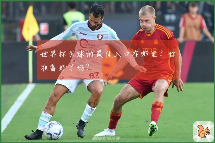 世界杯买球的最佳入口在哪里？你准备好了吗？